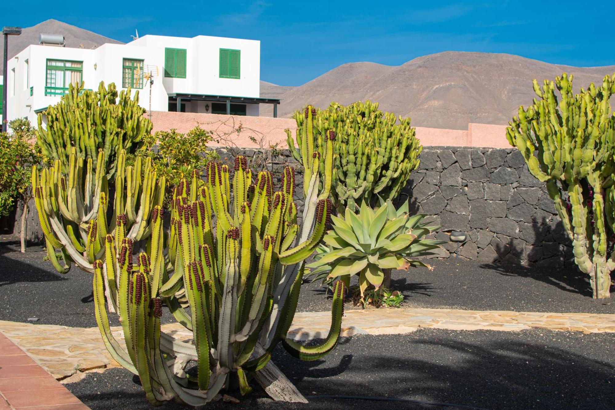 Villa Papagayo Lanzarote プラヤ・ブランカ エクステリア 写真